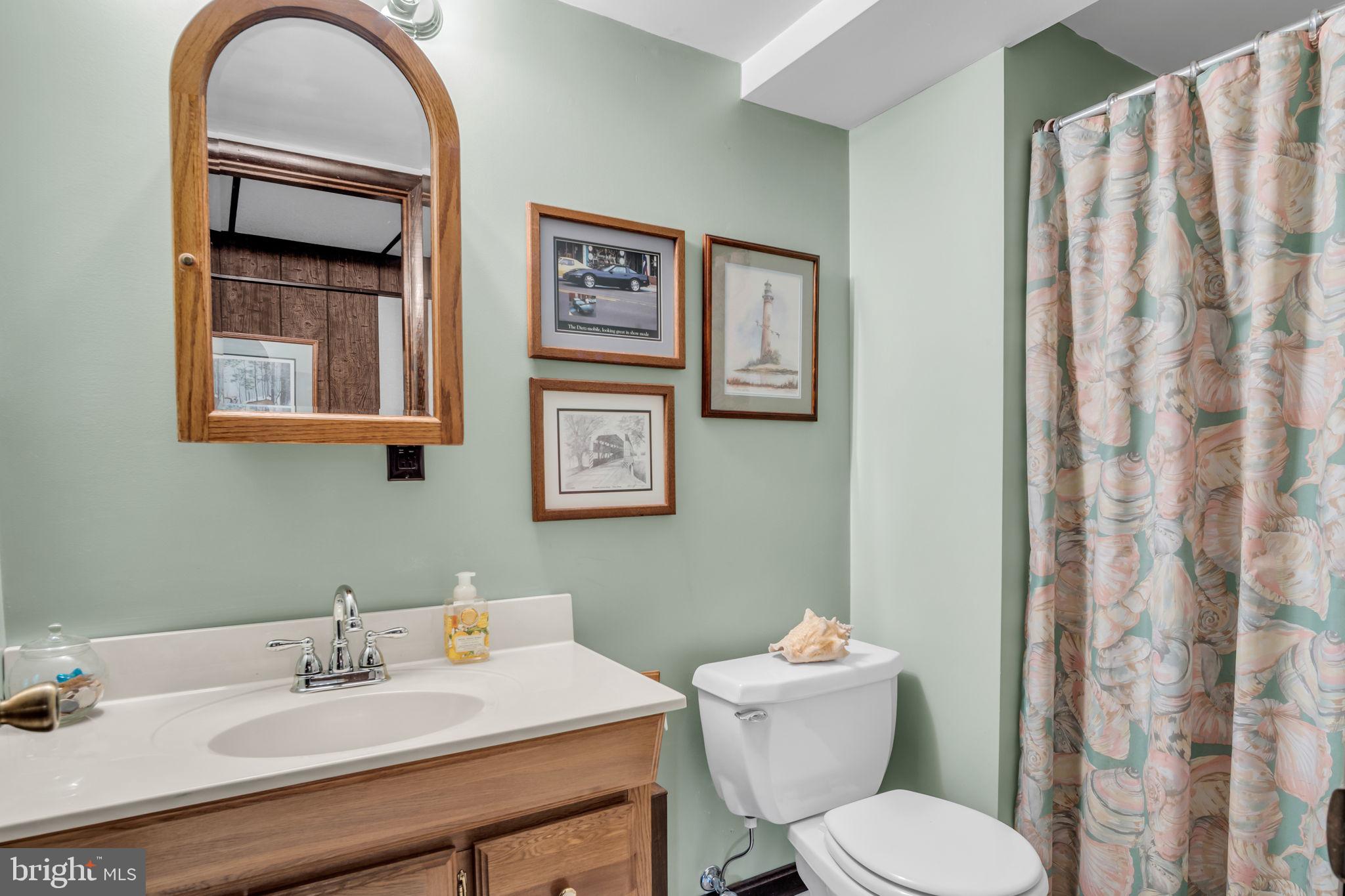 155 Greenbriar Road Elliottsburg, PA 17024 - Photo 24 of 38 Charming bathroom with artistic flair.