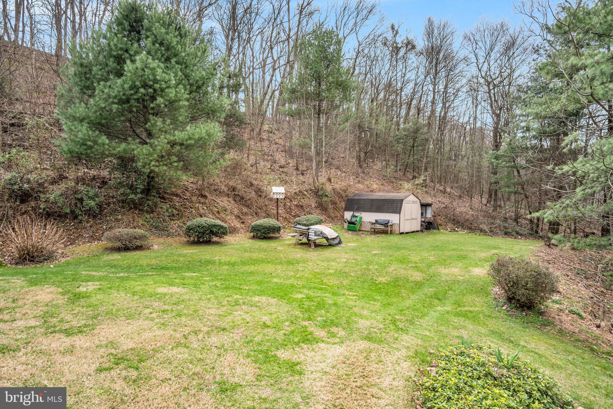 155 Greenbriar Road Elliottsburg, PA 17024 - Photo 33 of 38 Serene backyard with lush greenery.