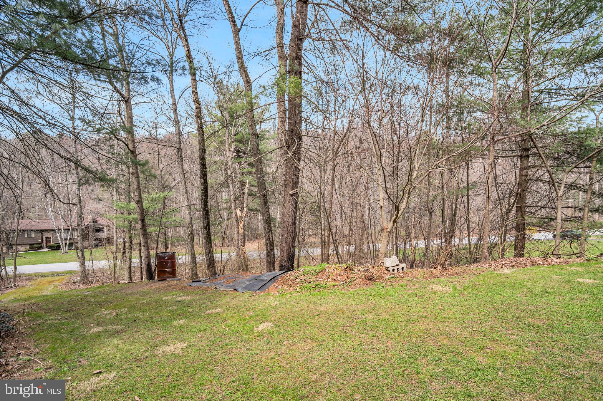 155 Greenbriar Road Elliottsburg, PA 17024 - Photo 35 of 38 Serene wooded retreat awaits you.