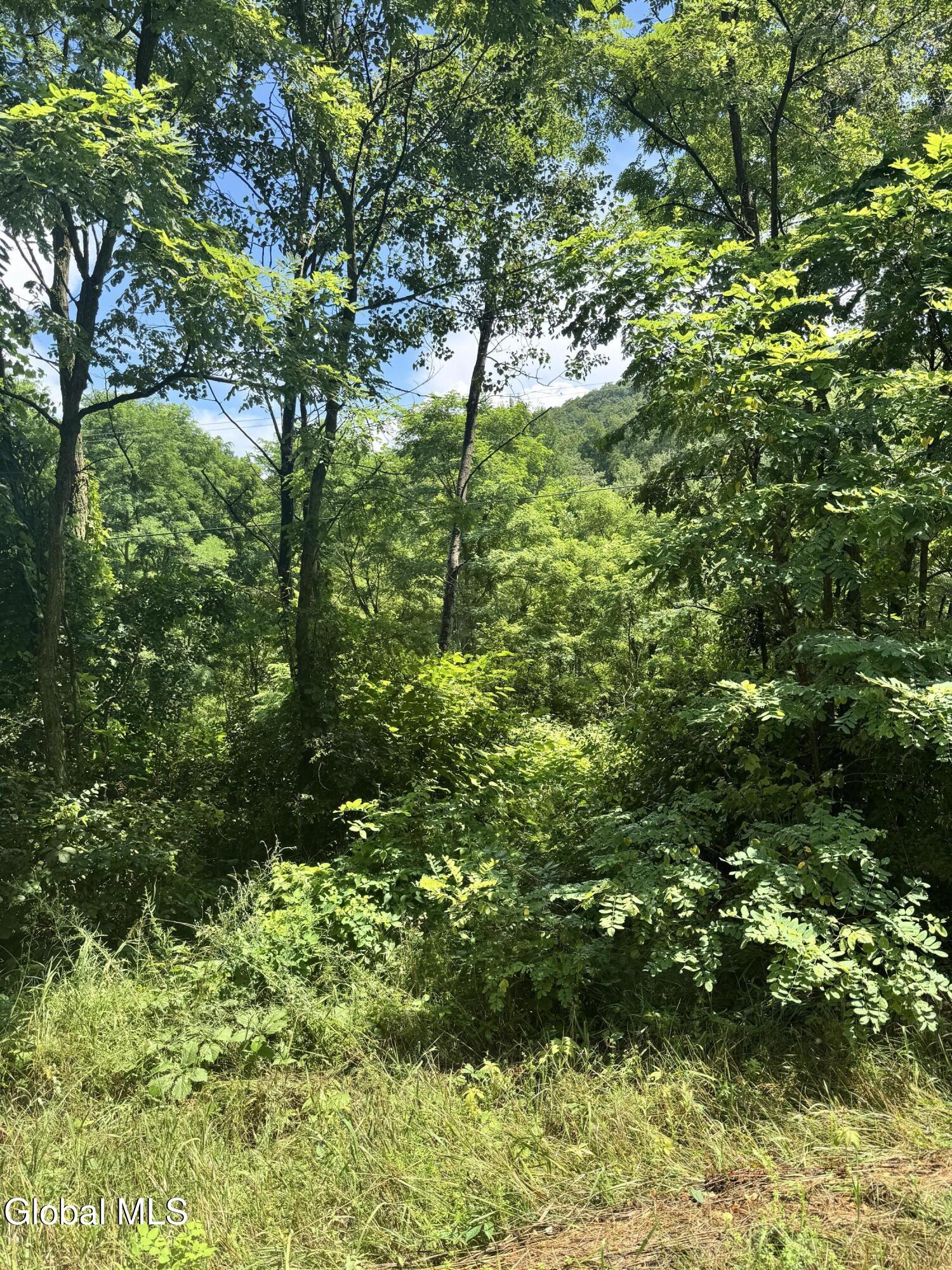 L27.4 L27.4 Coach Road Argyle, NY 12809 - Photo 2 of 3 IMG_6201