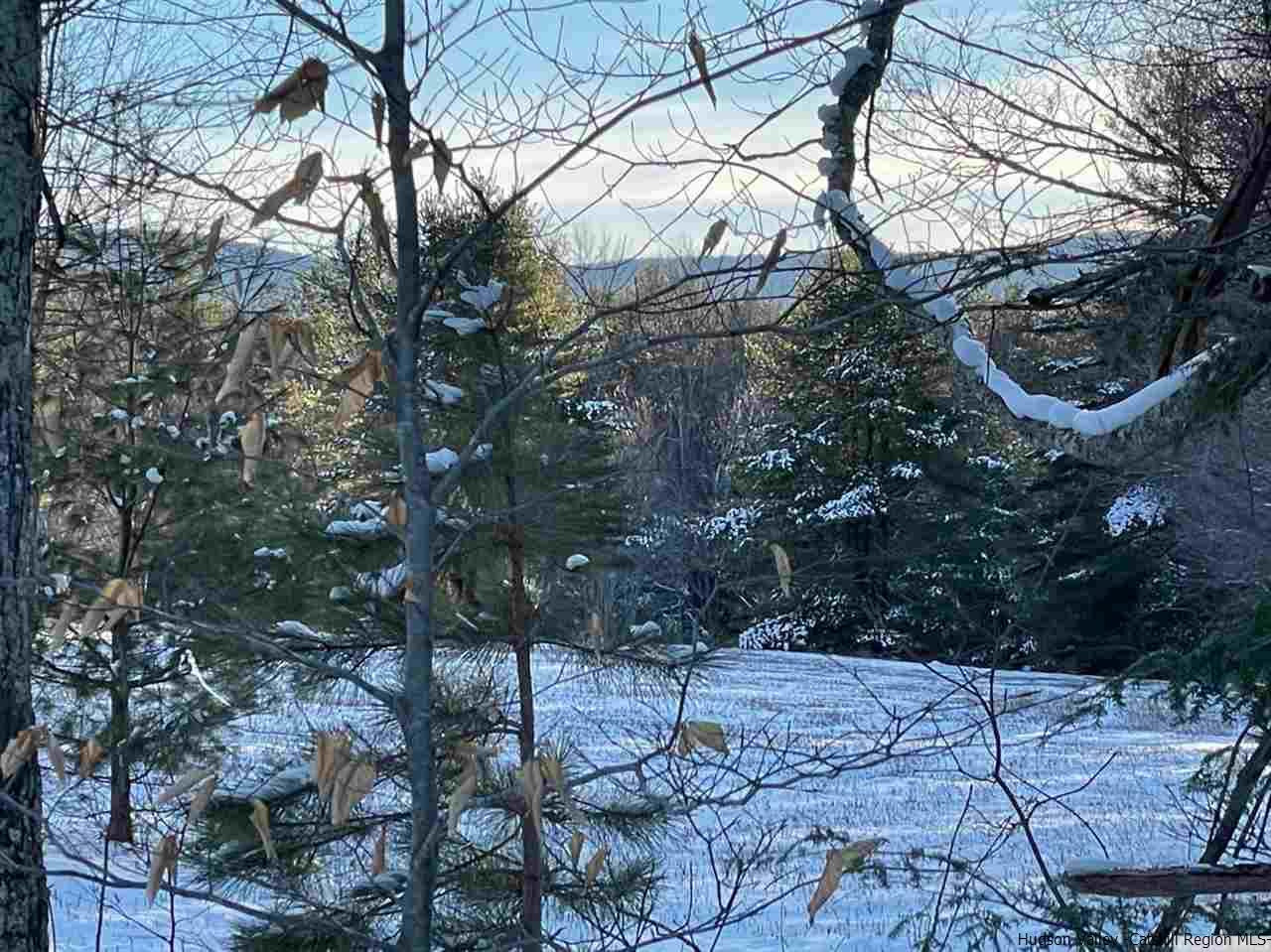 77 Tbd Route Jewett, NY 12444 - Photo 18 of 22 Photo 18