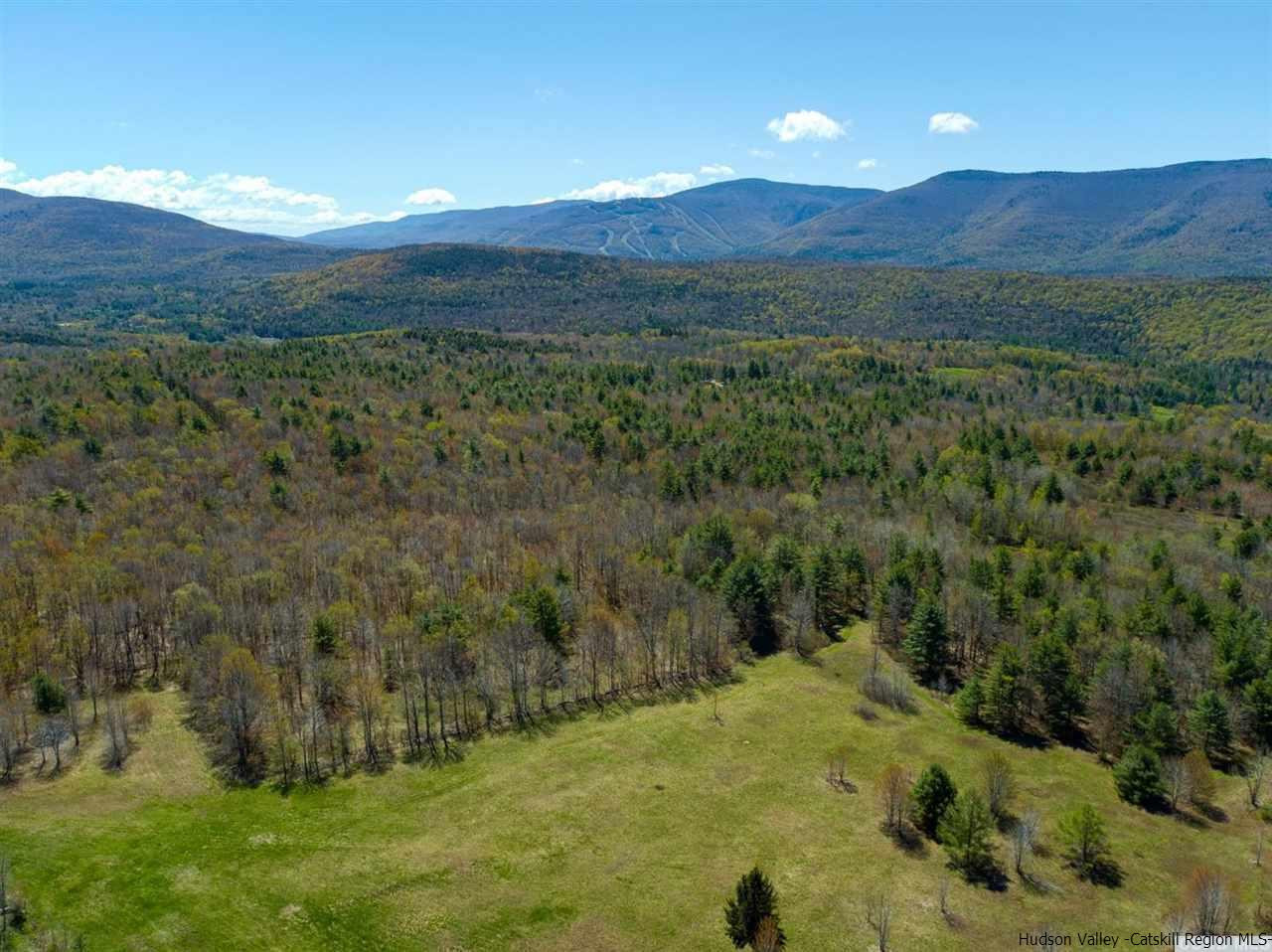 77 Tbd Route Jewett, NY 12444 - Photo 3 of 22 Photo 3