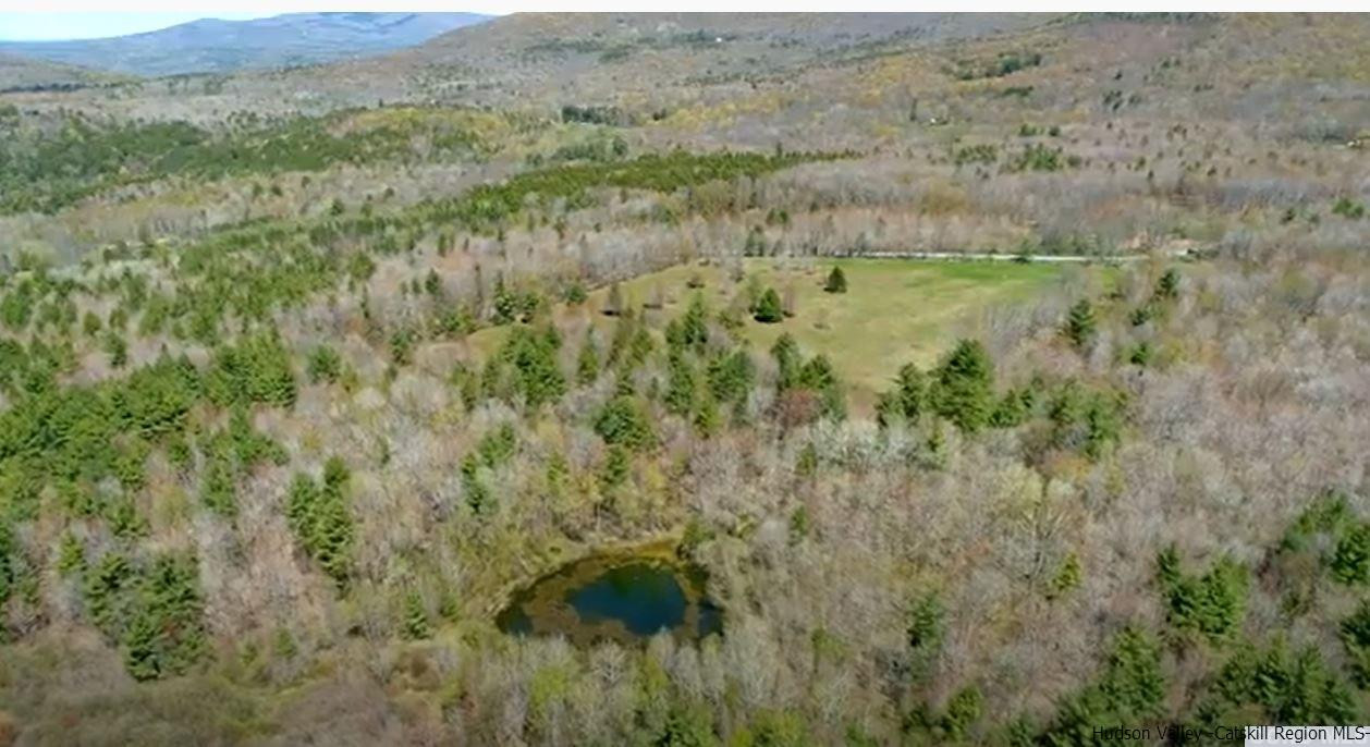 77 Tbd Route Jewett, NY 12444 - Photo 7 of 22 Photo 7