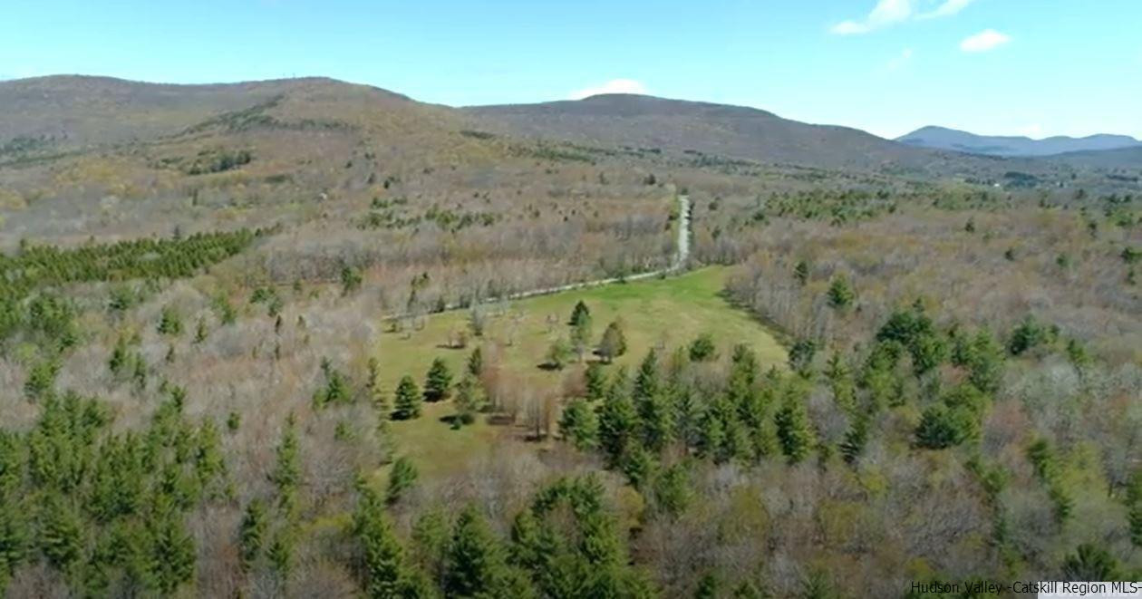 77 Tbd Route Jewett, NY 12444 - Photo 8 of 22 Photo 8
