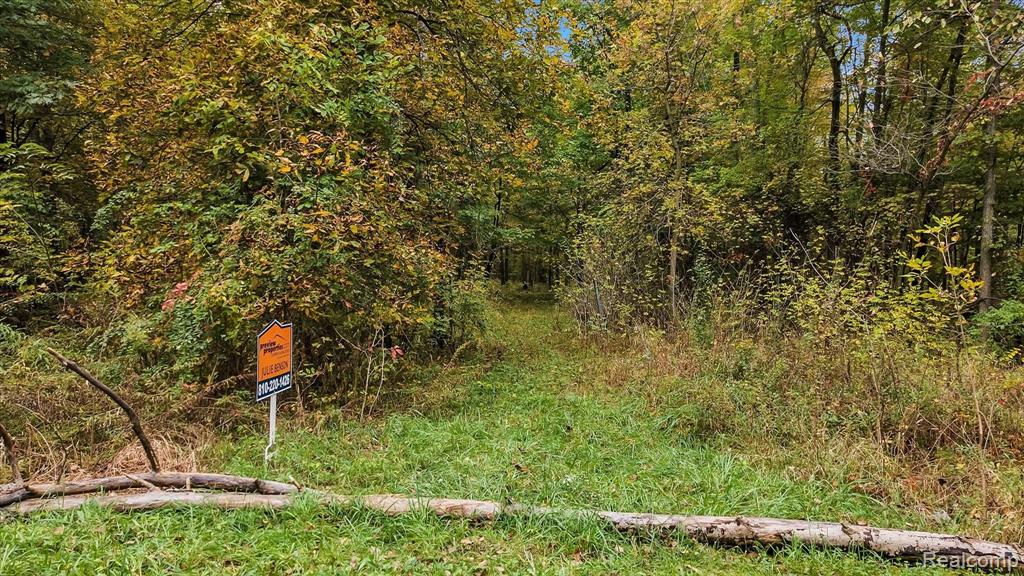 0 Woodhaven Road Howell, MI 48855 - Photo 10 of 18
