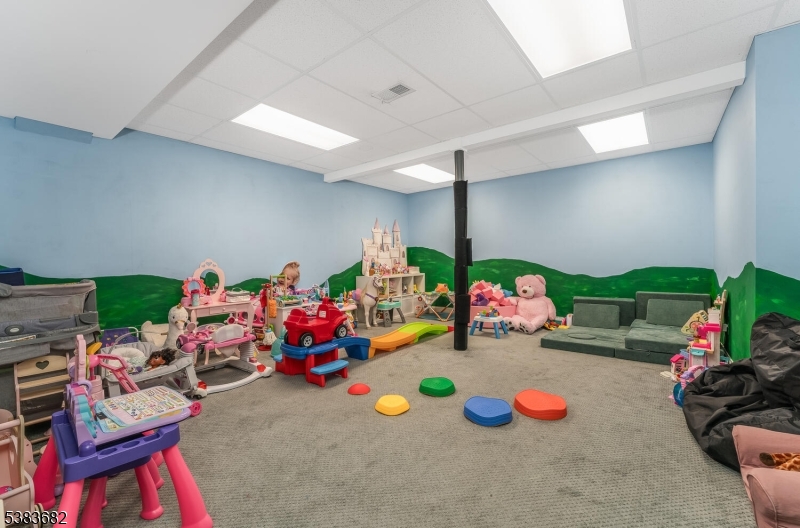 39 Sky Manor Road Pittstown, NJ 08867 - Photo 30 of 42