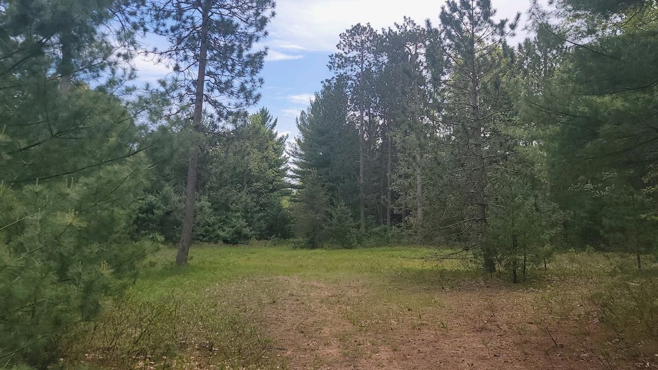 Xxx South Gladwin Road Prudenville, MI 48651 - Photo 4 of 10