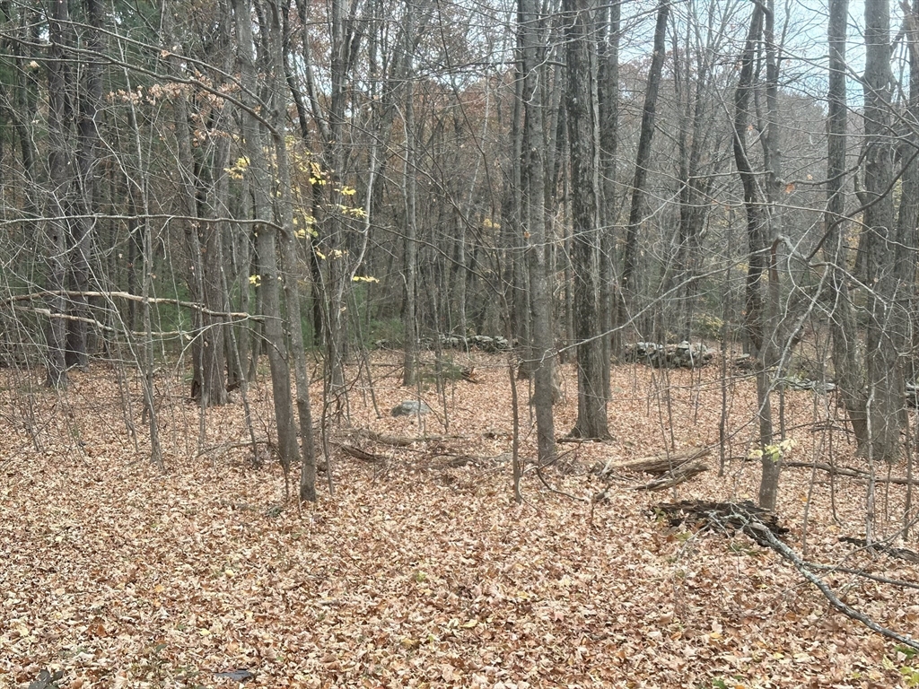 191 Hartness Road Sutton, MA 01590 - Photo 8 of 13 Gallery Image 8