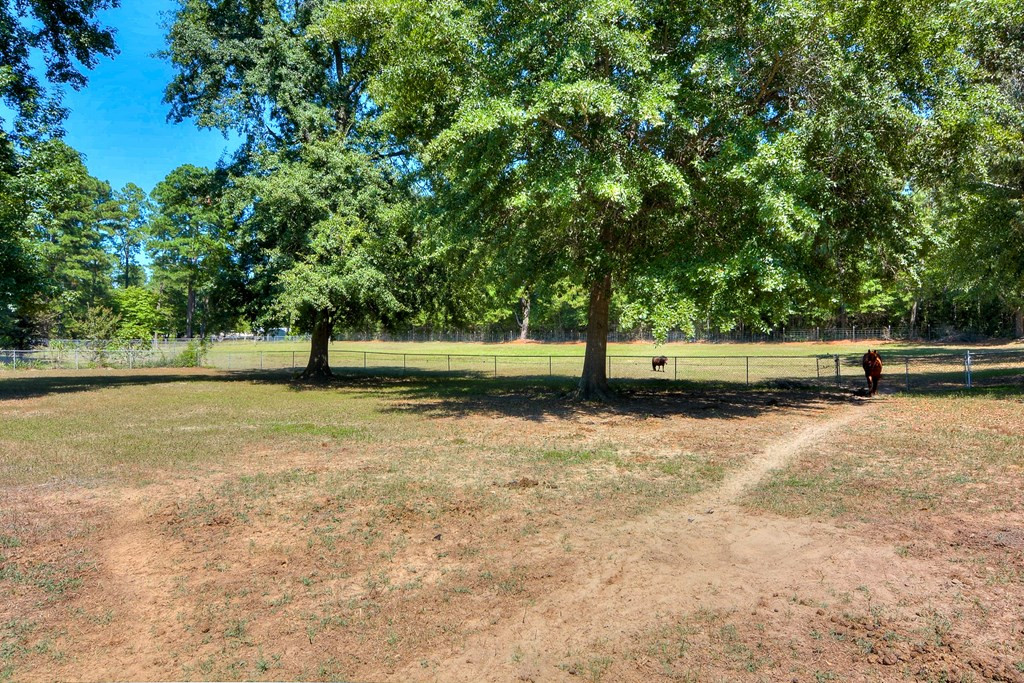 4244 Rheney Road Hephzibah, GA 30815 - Photo 42 of 46