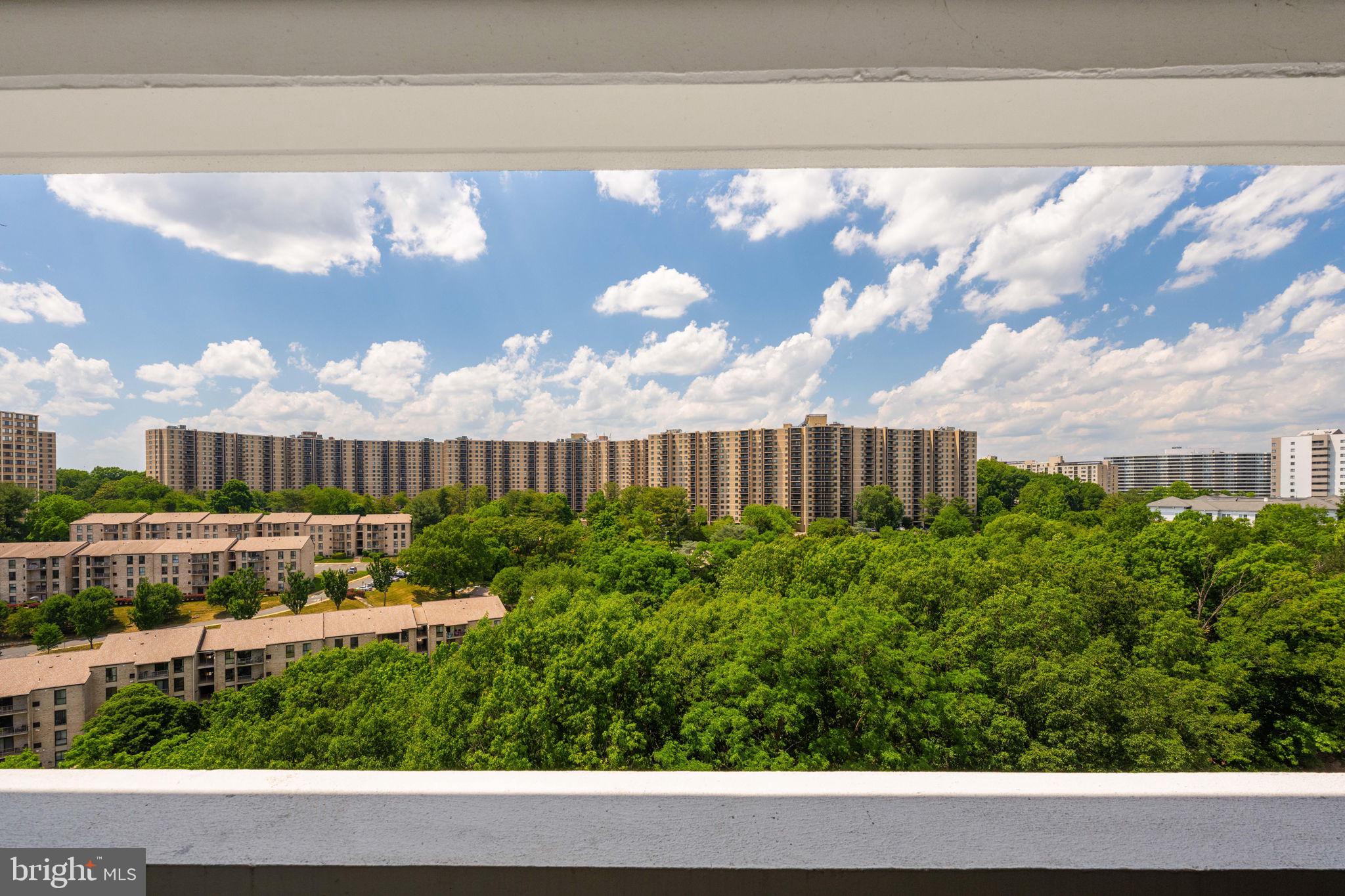 6101 Edsall Road, Unit 1212 Alexandria, VA 22304 - Photo 30 of 50 Balcony with green views...