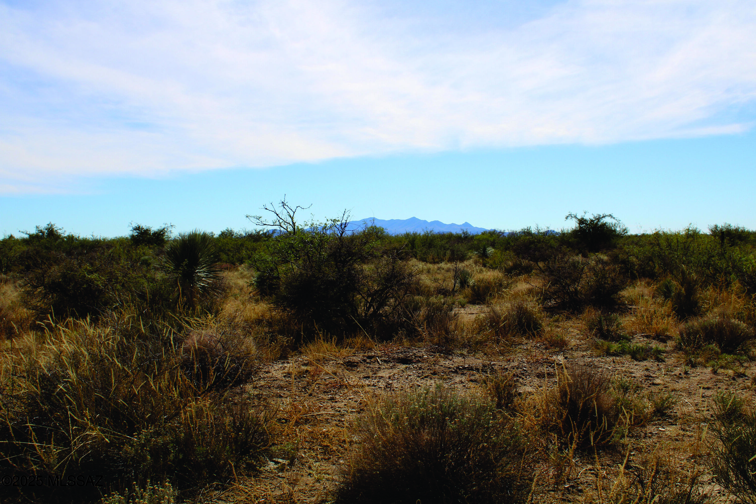 10-acres East Roadrunner Road, Unit D Pearce, AZ 85625 - Photo 21 of 24 a view of a bunch of trees in all around