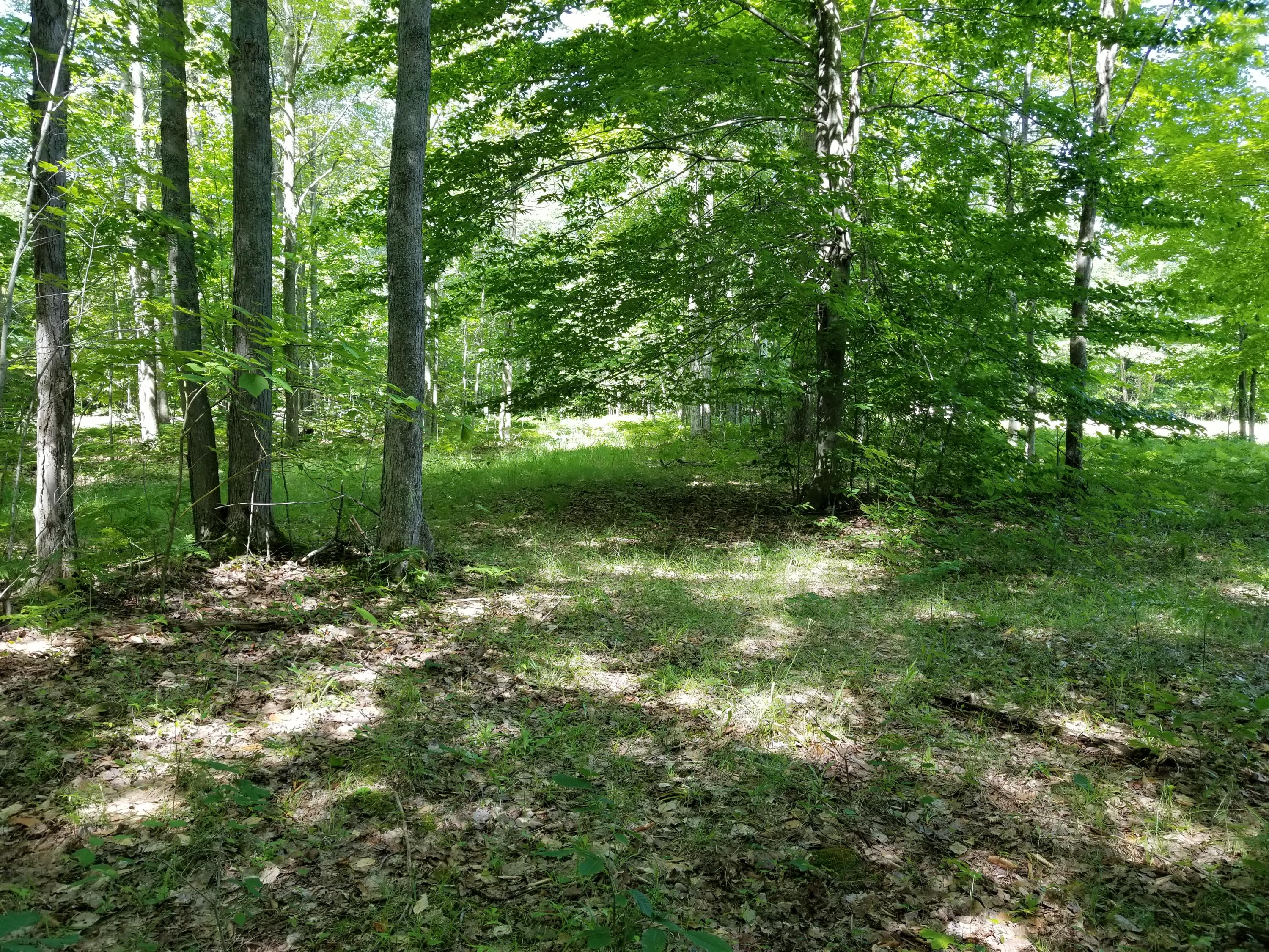 Mitchell Drive Cheboygan, MI 49721 - Photo 6 of 11 Gallery Image 6