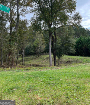 1001 Butterfly Cove Way Locust Grove, GA 30248 - Photo 1 of 2