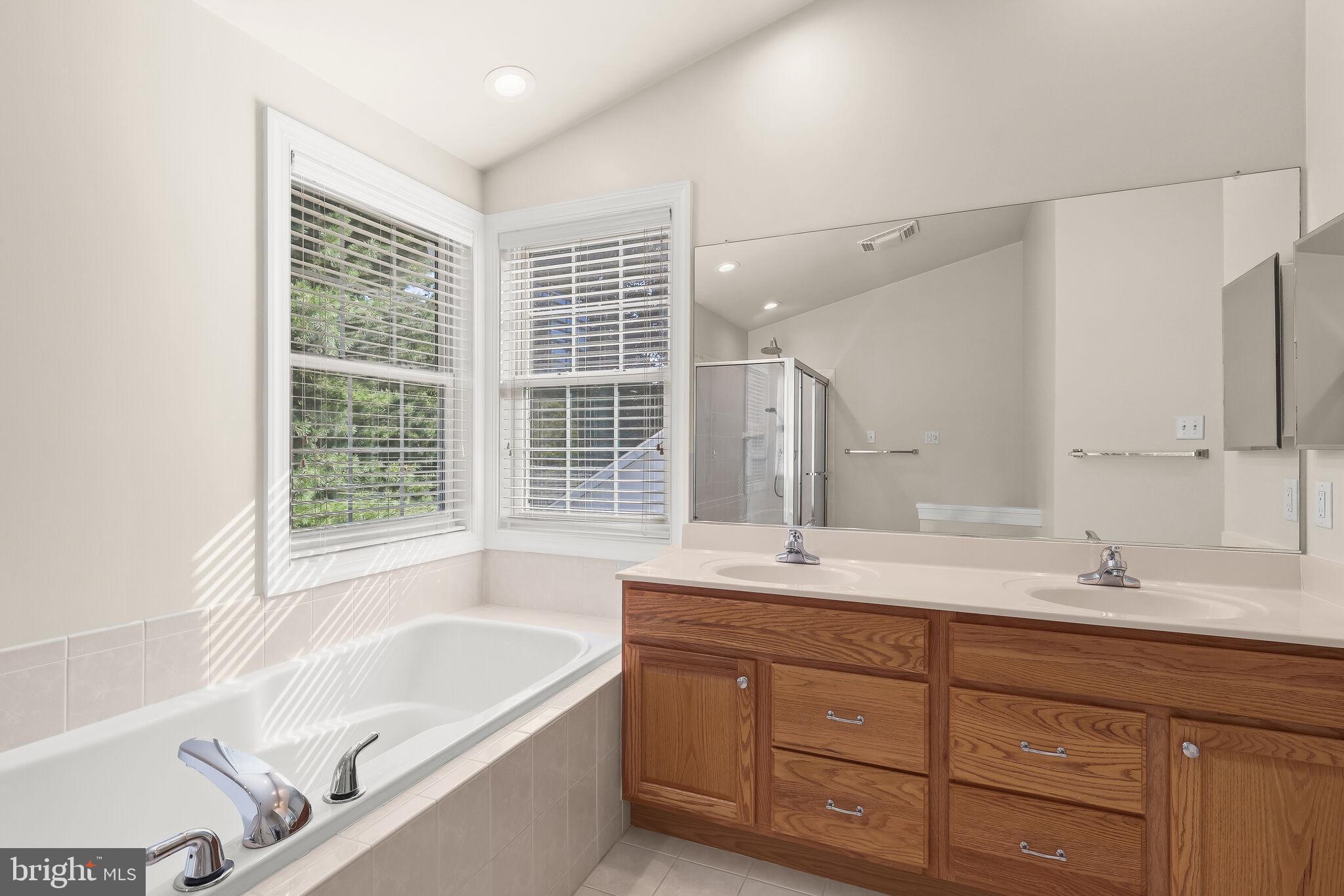 5911 Fall Moon Ride Clarksville, MD 21029 - Photo 31 of 65 Soaking tub & dual vanity