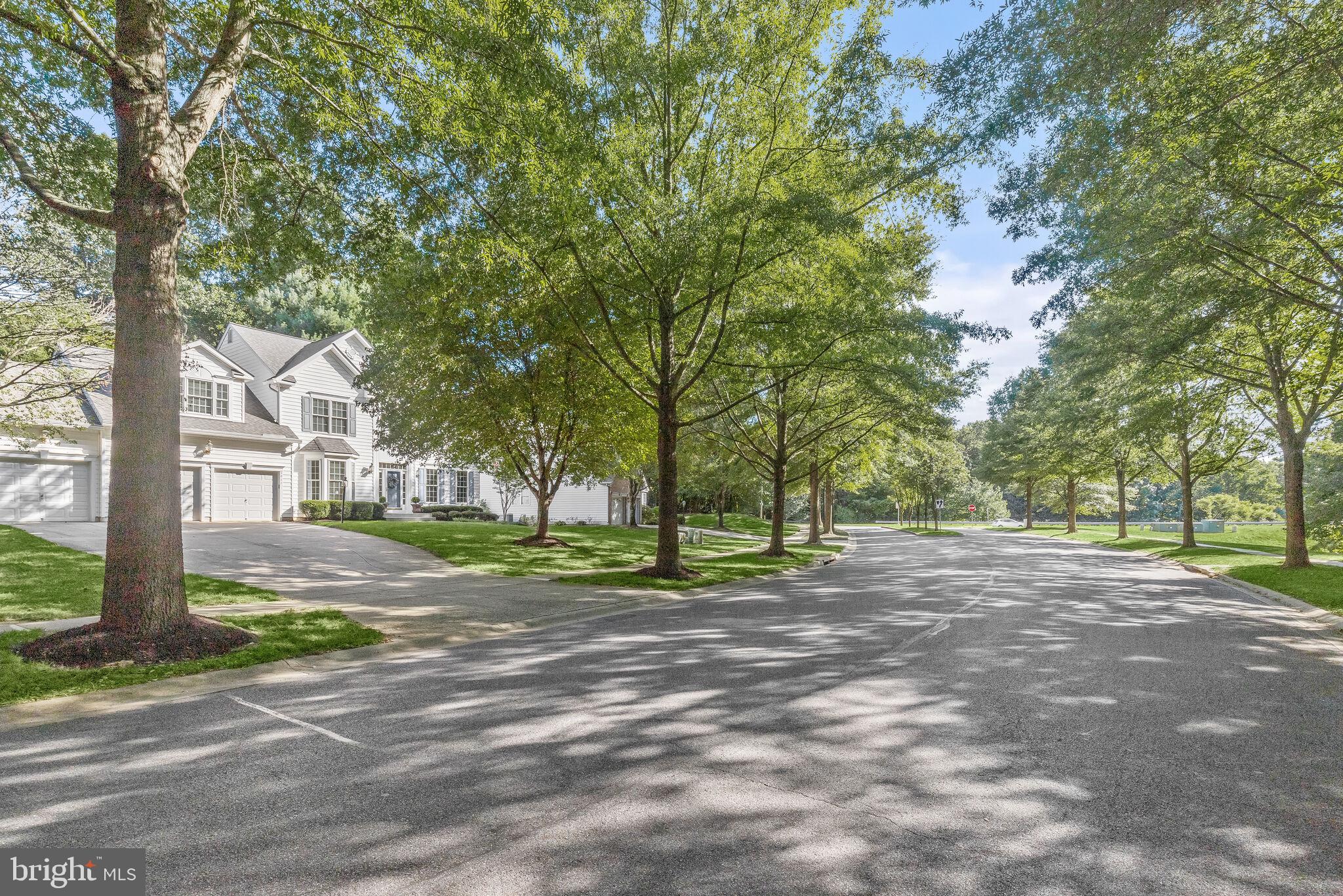 5911 Fall Moon Ride Clarksville, MD 21029 - Photo 54 of 65 Tree lined drive