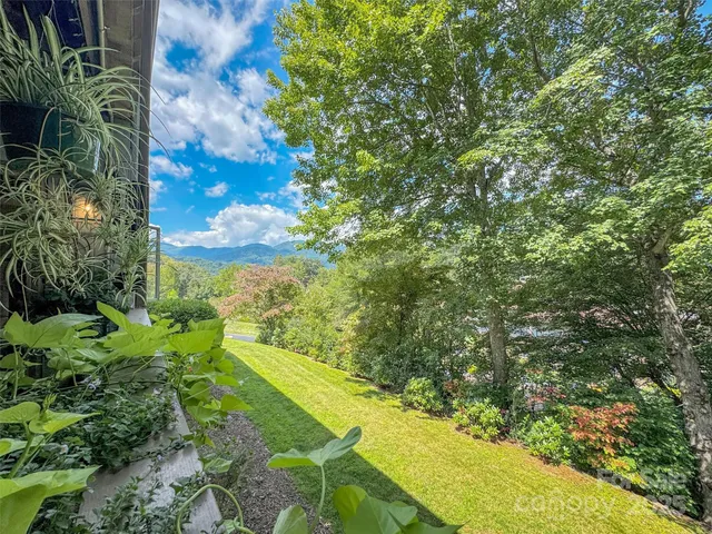 a view of a yard with plants and wooden fence