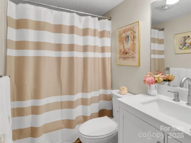 a bathroom with a sink a toilet a mirror and shower curtain