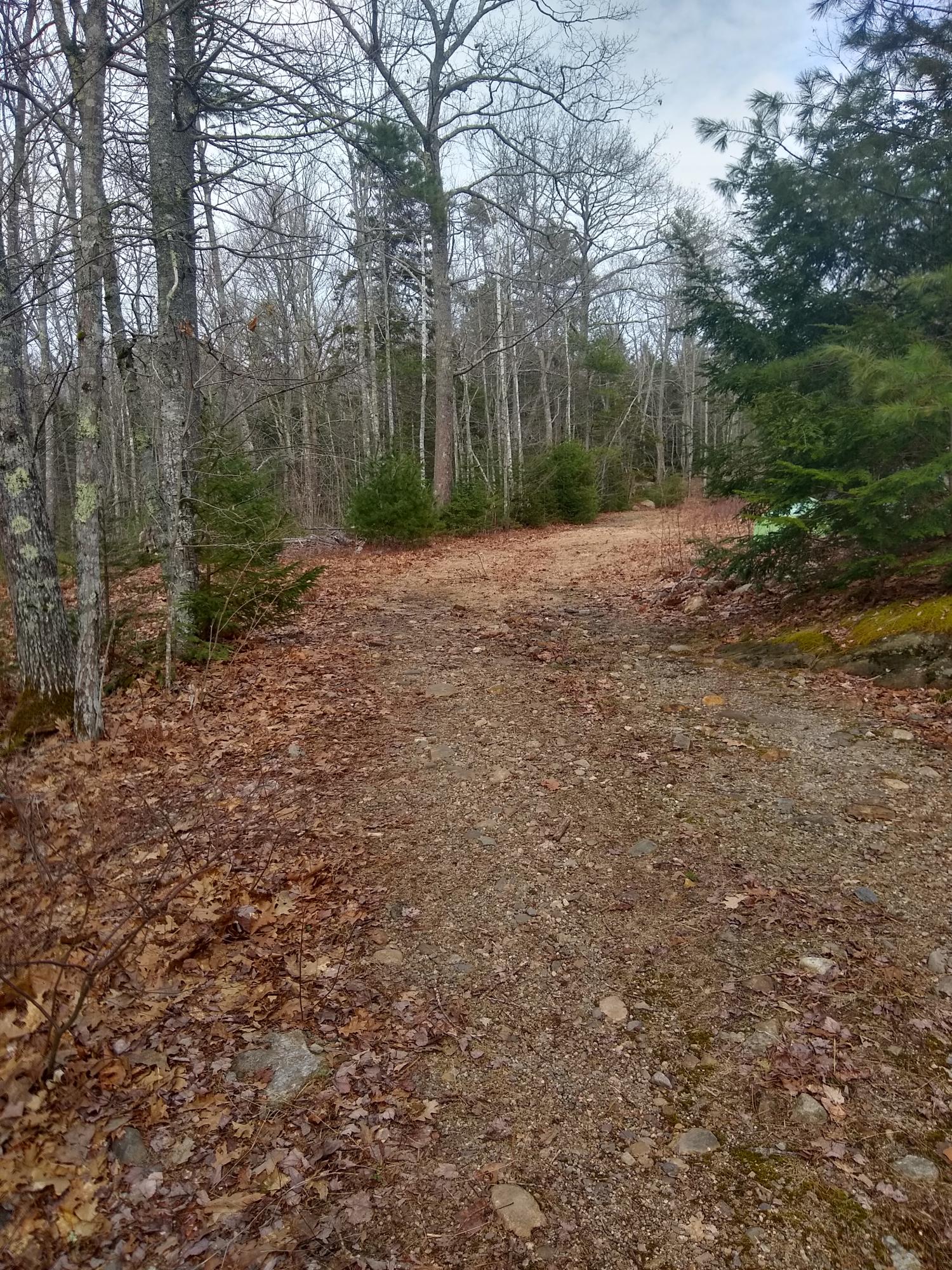 Lot57-10 Winterberry Road West Bath, ME 04530 - Photo 8 of 24 6
