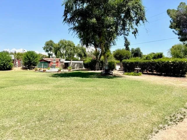 a view of a park with large trees
