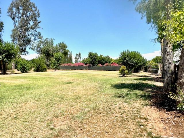 5476 Greenwood Avenue Clovis, CA 93619 - Photo 5 of 19 a view of swimming pool with a yard