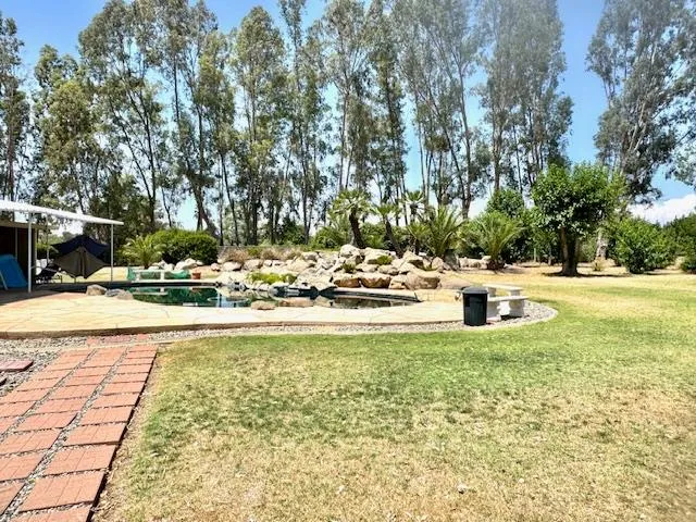 a view of yard with tree s