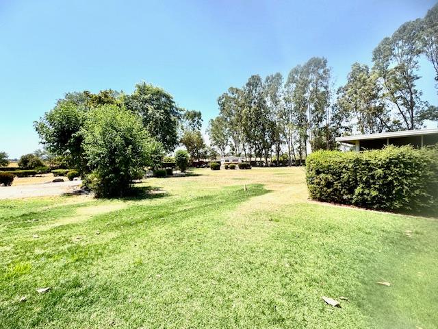 5476 Greenwood Avenue Clovis, CA 93619 - Photo 7 of 19 a view of yard with tree s