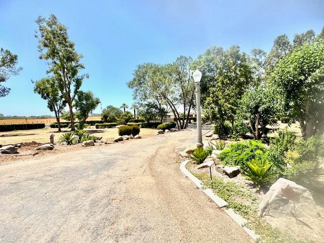 5476 Greenwood Avenue Clovis, CA 93619 - Photo 8 of 19 a view of road with trees
