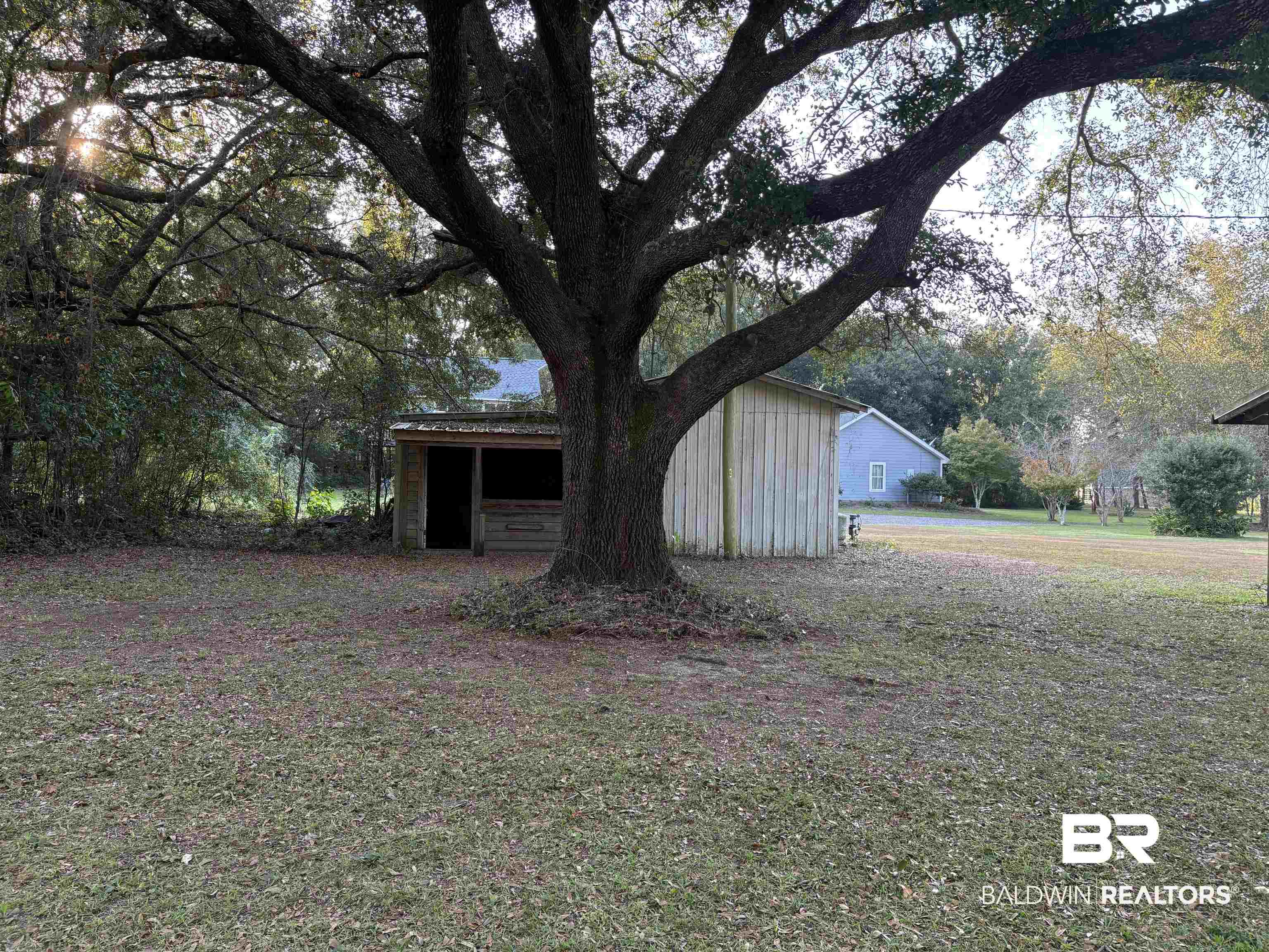 17495 County Road 48 Robertsdale, AL 36567 - Photo 10 of 37 View of yard featuring an outbuilding