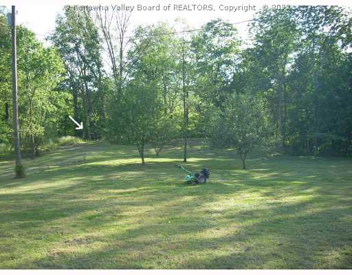 209 Rte 1 Liberty Liberty Wv 25124 Liberty, WV 25124 - Photo 8 of 8 Yard/Garden.