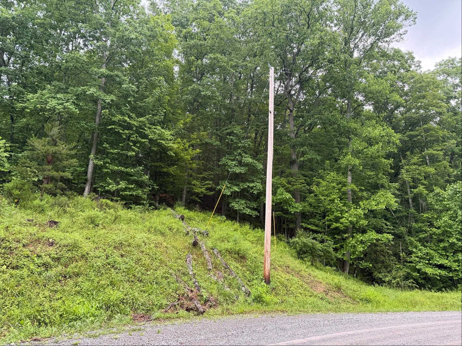 Tbd Cv Crk Road Bastian, VA 24314 - Photo 4 of 19 Gallery Image 4