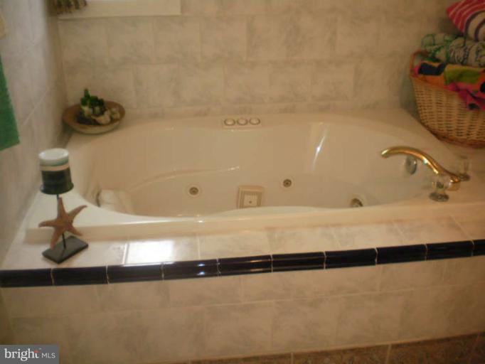 80 River Road Elkton, MD 21921 - Photo 15 of 24 Bath (Master)