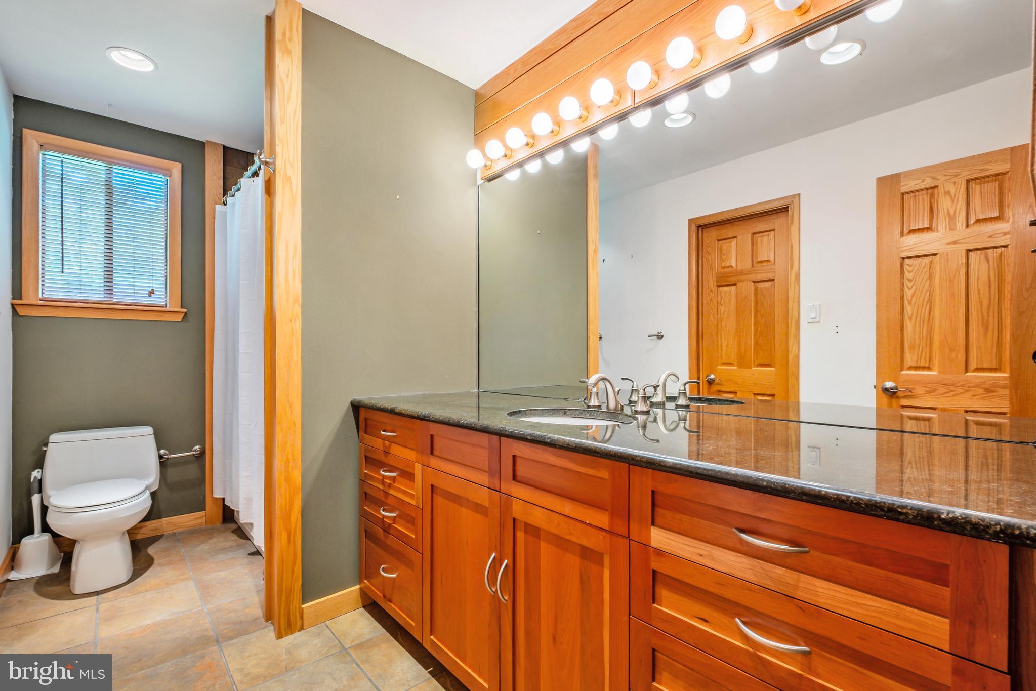 46 Grassy Lake Road Shamong, NJ 08088 - Photo 36 of 47 a bathroom with a toilet a sink and a large mirror