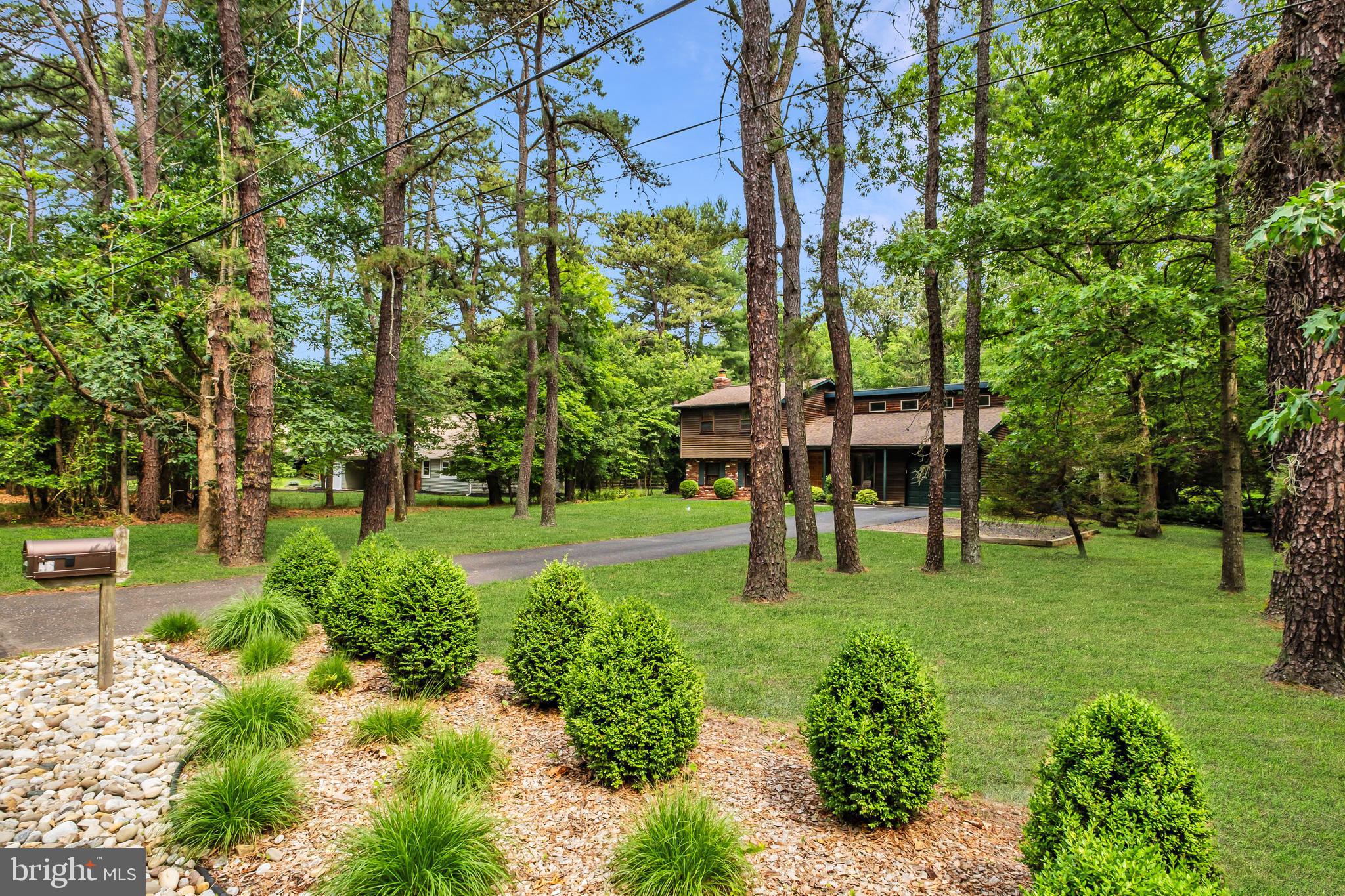 46 Grassy Lake Road Shamong, NJ 08088 - Photo 4 of 47 a view of backyard with huge green area and large trees