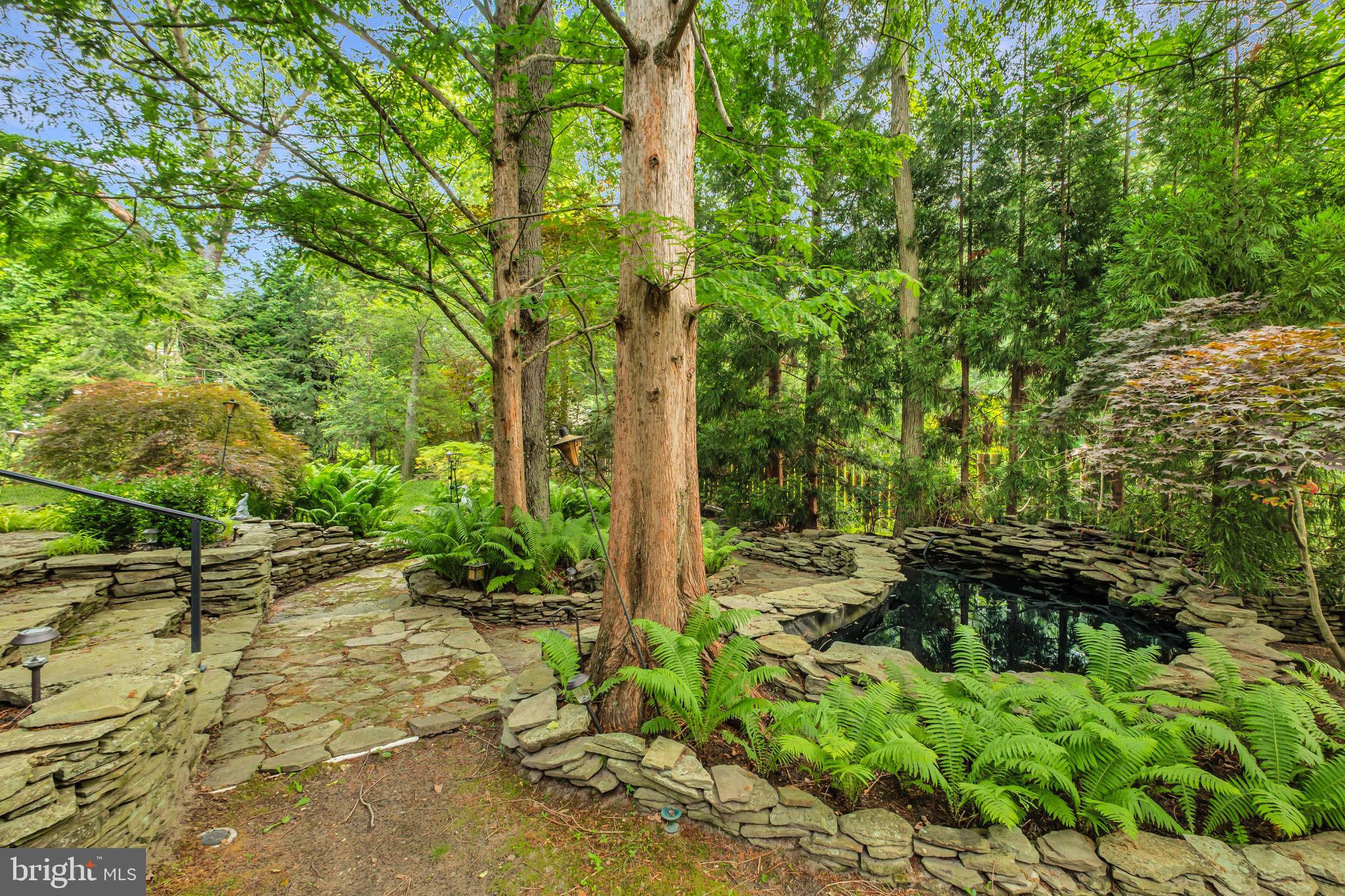46 Grassy Lake Road Shamong, NJ 08088 - Photo 41 of 47 a backyard of a house with lots of green space