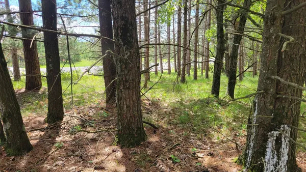 $50,000 | 227 9th, Nekoosa, WI 54457