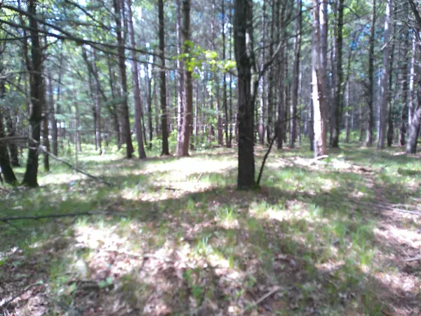 $50,000 | 227 9th, Nekoosa, WI 54457