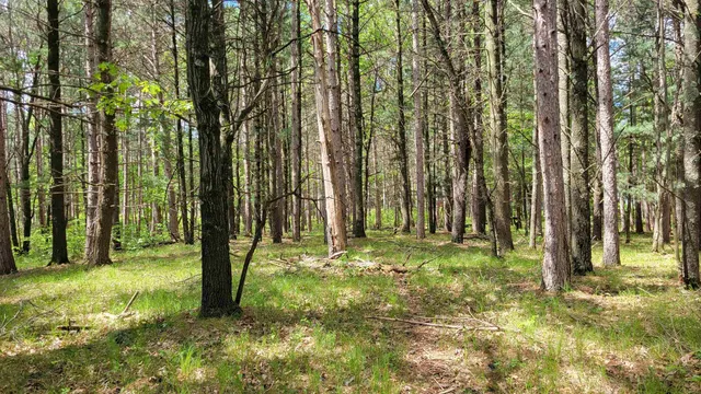 $50,000 | 227 9th, Nekoosa, WI 54457