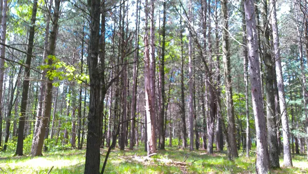$50,000 | 227 9th, Nekoosa, WI 54457