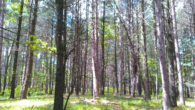 $50,000 | 227 9th, Nekoosa, WI 54457