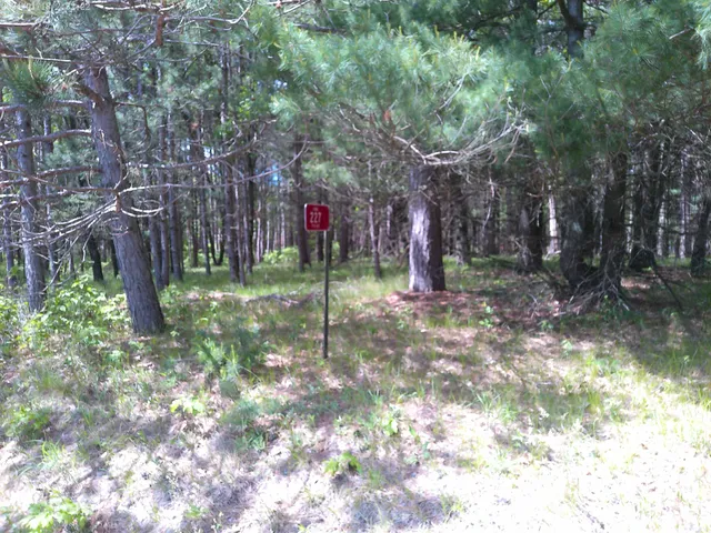 $50,000 | 227 9th, Nekoosa, WI 54457