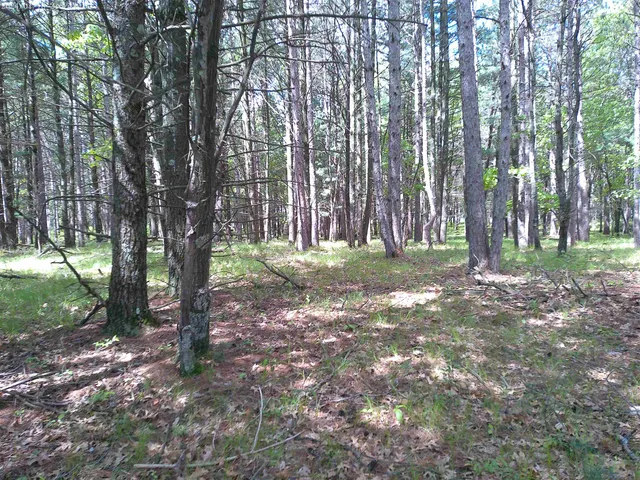 $50,000 | 227 9th, Nekoosa, WI 54457