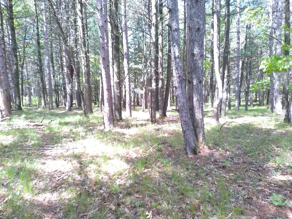 $50,000 | 227 9th, Nekoosa, WI 54457