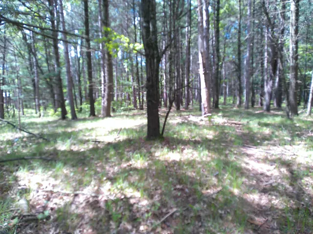 $50,000 | 227 9th, Nekoosa, WI 54457