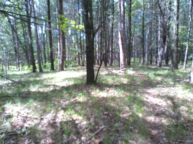 $50,000 | 227 9th, Nekoosa, WI 54457