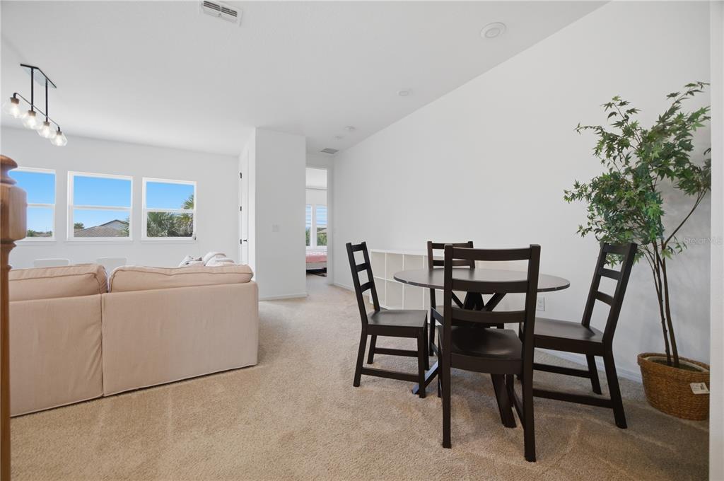 13816 Sharp Hawk Drive Riverview, FL 33569 - Photo 31 of 76 a living room with furniture a potted plant and a chandelier