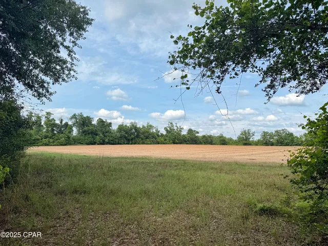 $140,000 | 0 Delta Lane, Marianna, FL 32448