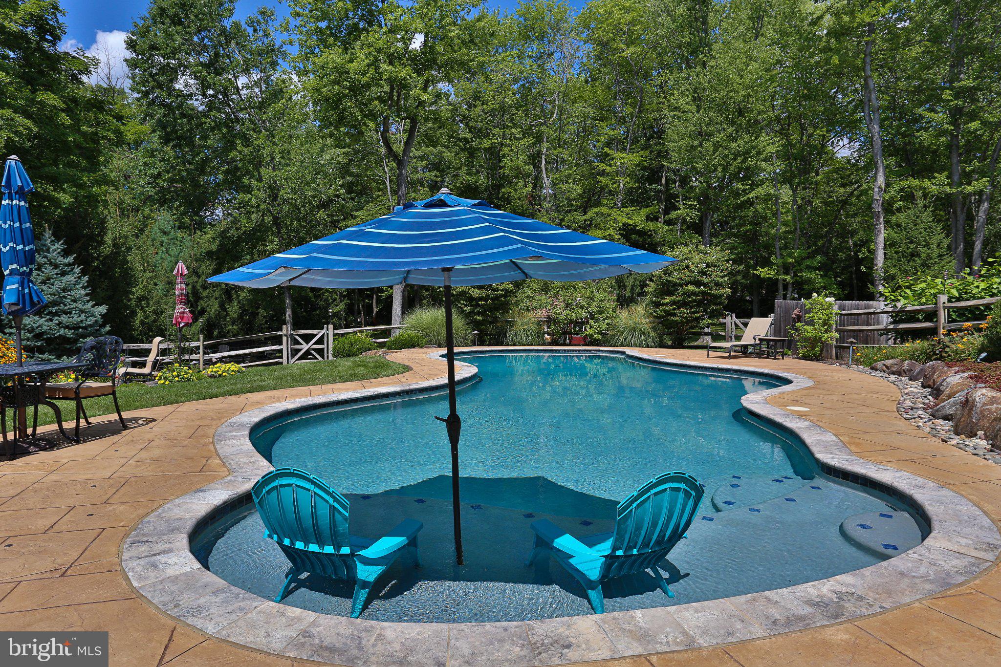 2232 Turk Road Doylestown, PA 18901 - Photo 41 of 55 Saltwater Pool with Sun Shelf