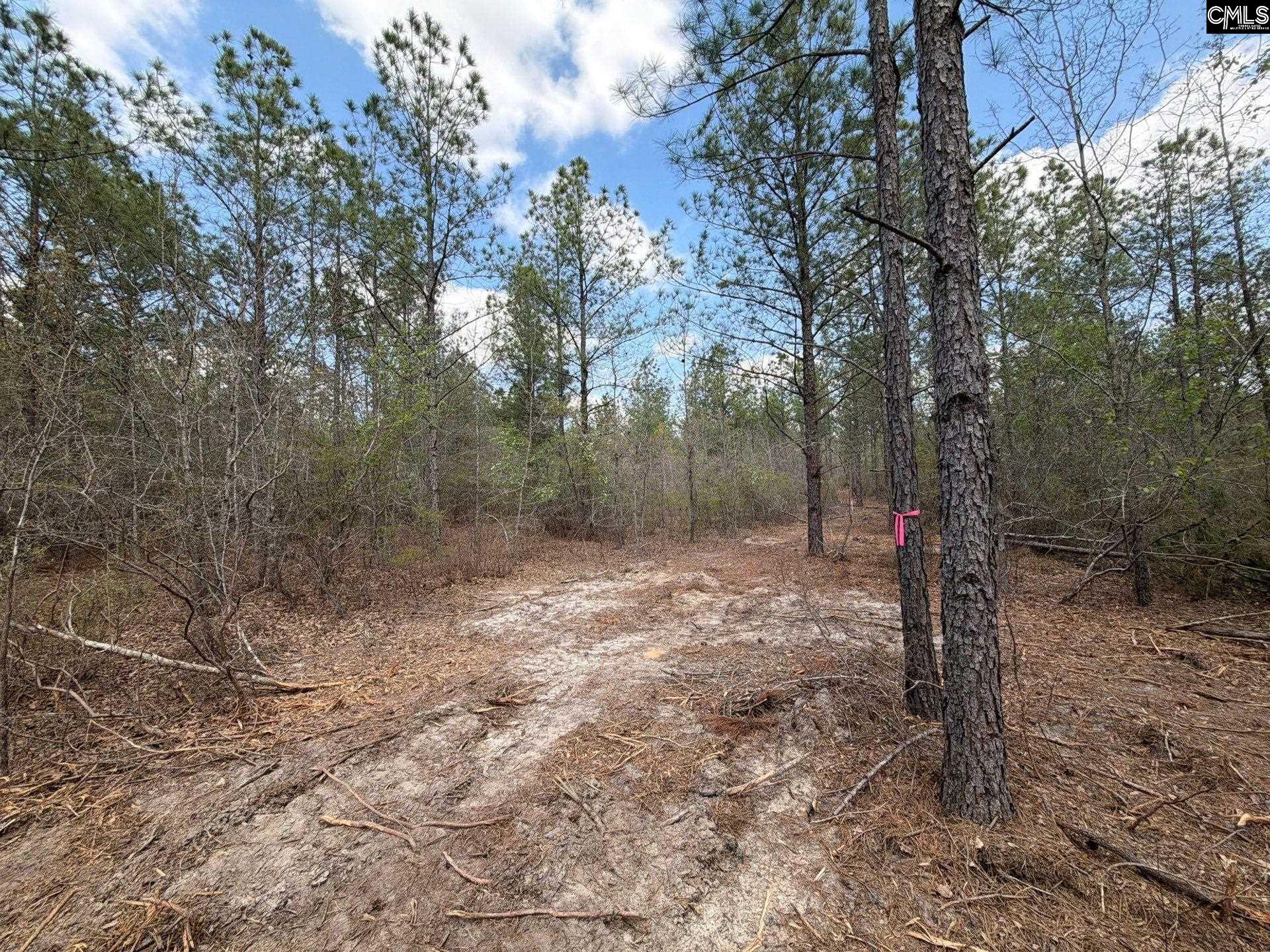 3 Mt Calvary Rd Ridge Spring Ridge Spring, SC 29129 - Photo 12 of 27