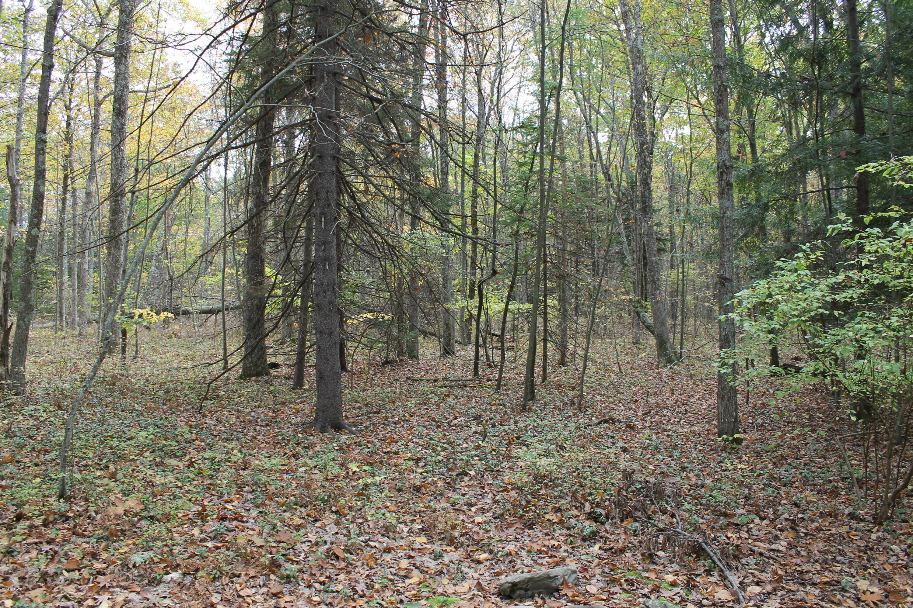 121 Outlet Road Dingmans Ferry, PA 18328 - Photo 6 of 19