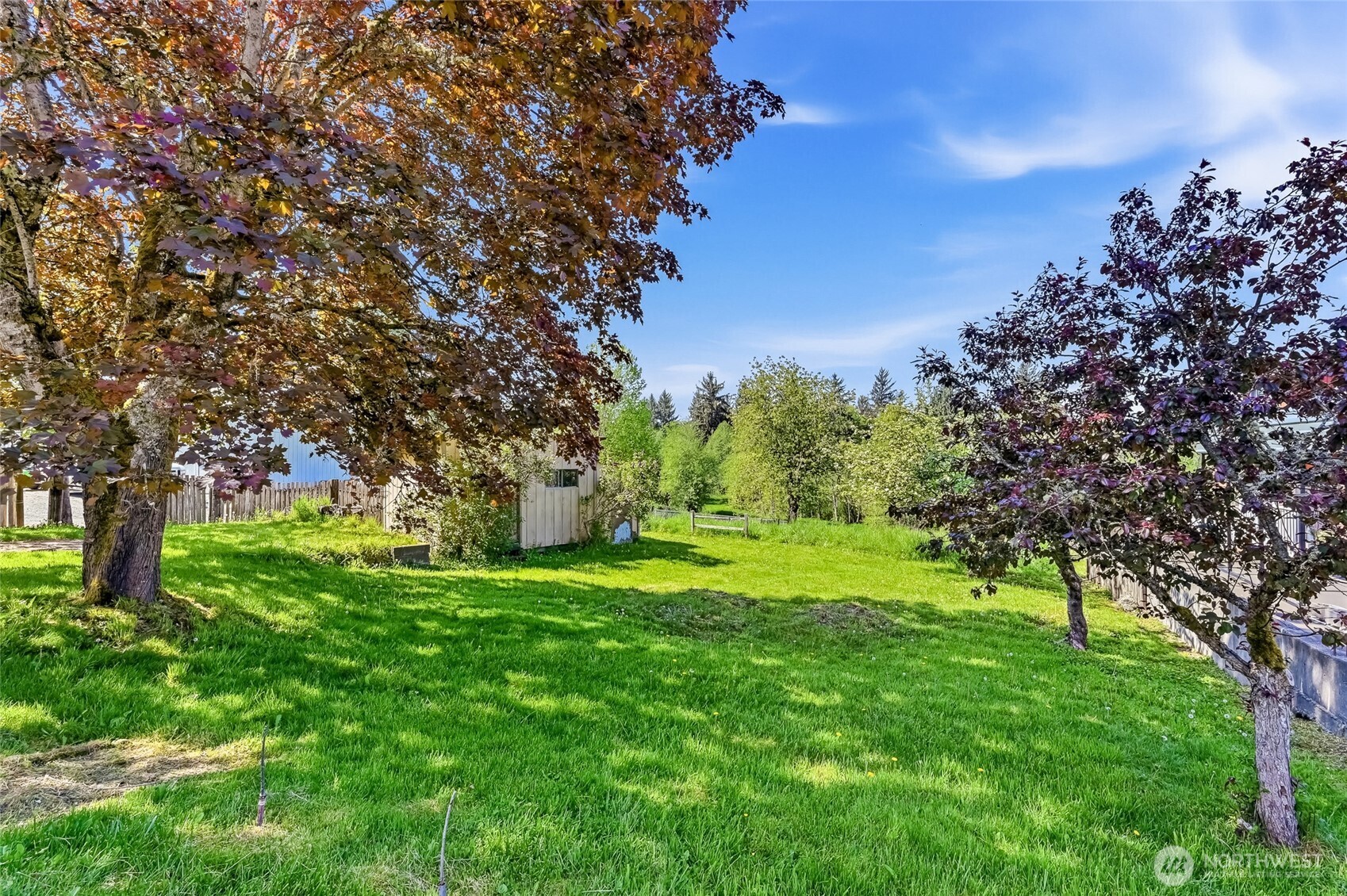 32711 Commission Avenue Black Diamond, WA 98010 - Photo 24 of 34 a view of a trees with a yard